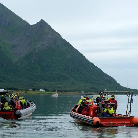 Leilighet Med Fantastisk Utsikt Henningsvær Extérieur photo